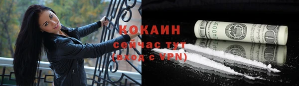 мяу мяу мука Белокуриха