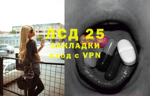 мяу мяу мука Белокуриха
