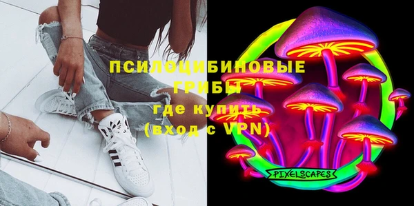 мяу мяу мука Белокуриха