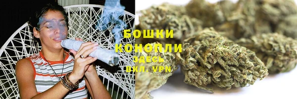 мяу мяу мука Белокуриха