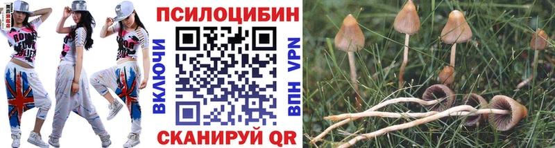Псилоцибиновые грибы Magic Shrooms  MEGA сайт  Конаково 